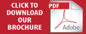PDF Download
